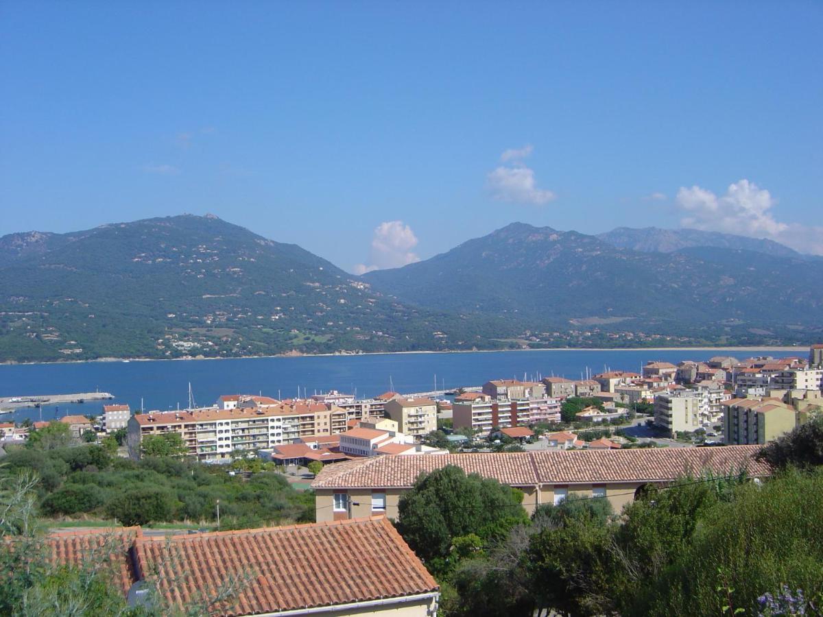 Mimosa Propriano (Corsica) Exterior photo